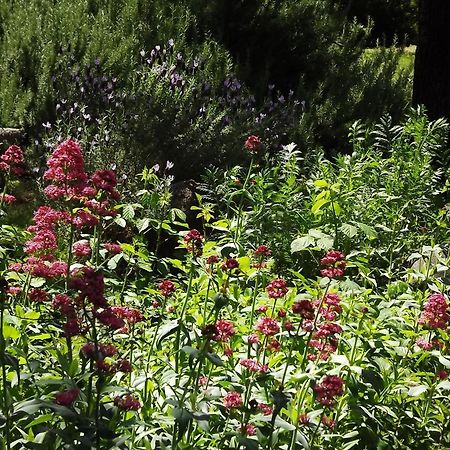 Backyard Garden Oasis Bed and Breakfast Middletown Eksteriør billede