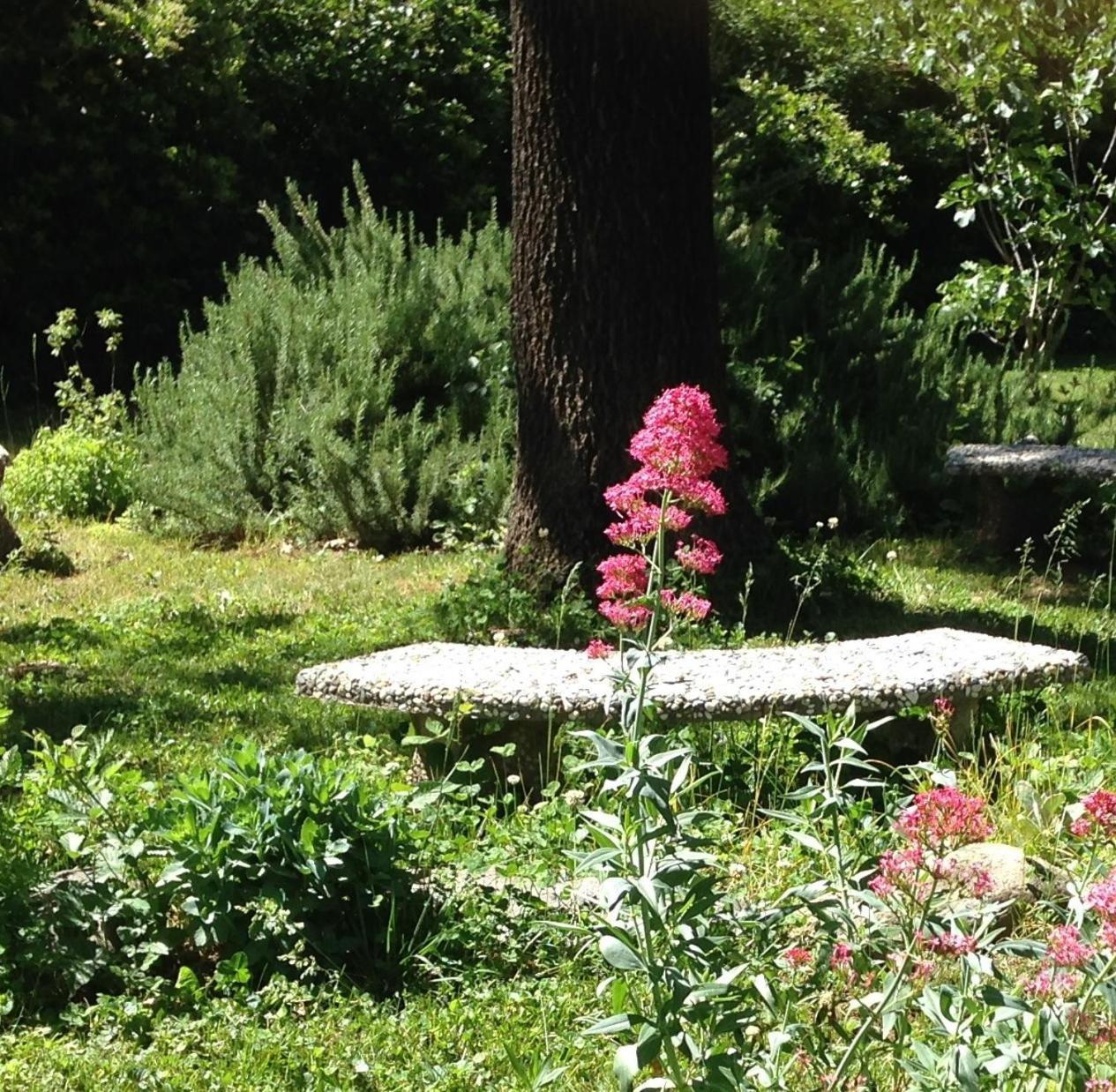 Backyard Garden Oasis Bed and Breakfast Middletown Eksteriør billede
