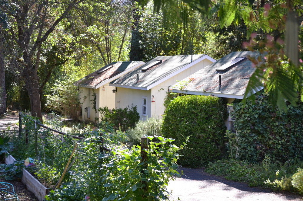 Backyard Garden Oasis Bed and Breakfast Middletown Eksteriør billede