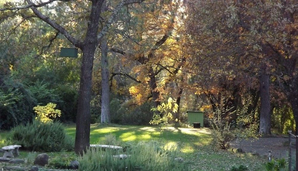 Backyard Garden Oasis Bed and Breakfast Middletown Eksteriør billede