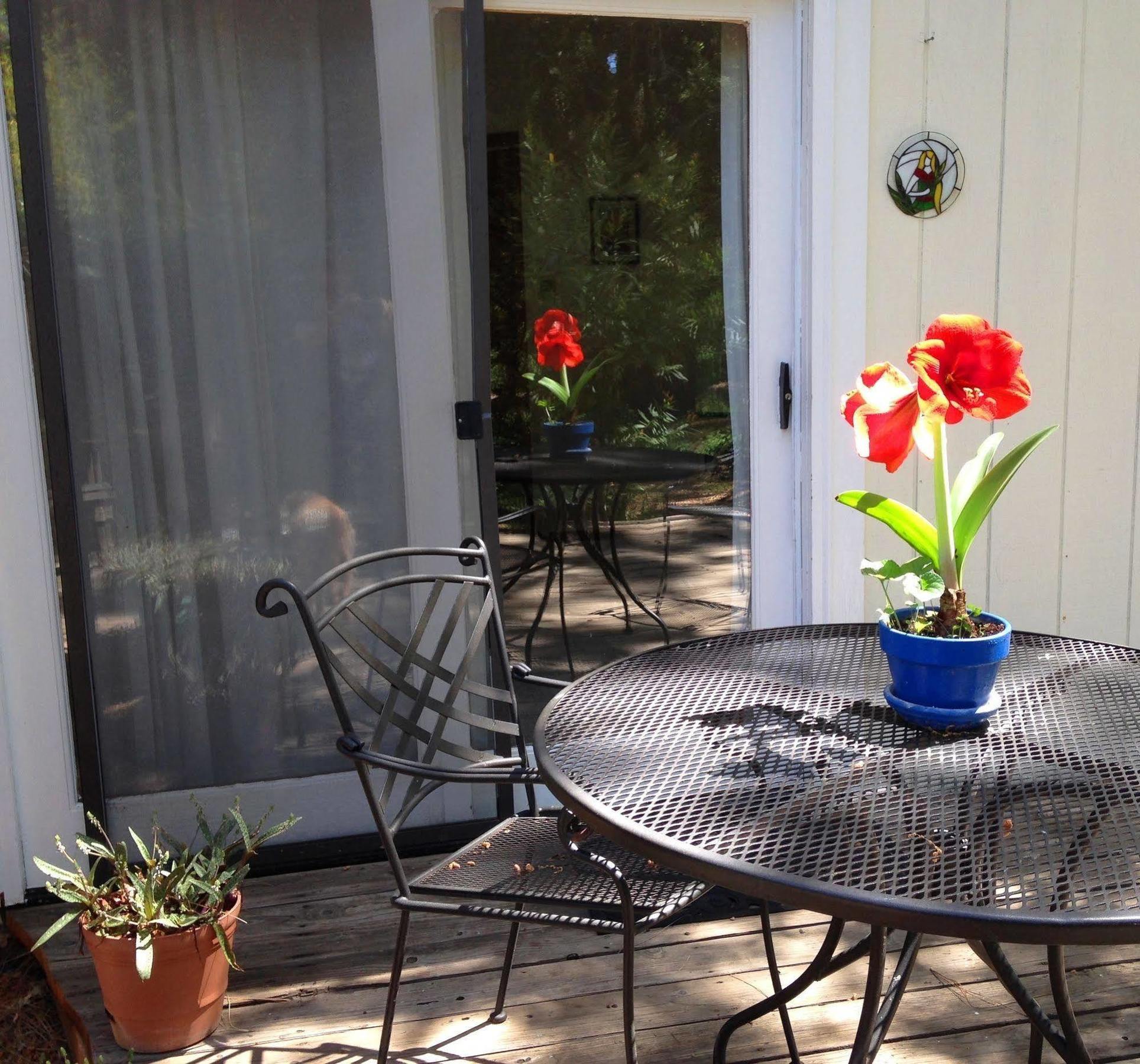 Backyard Garden Oasis Bed and Breakfast Middletown Eksteriør billede