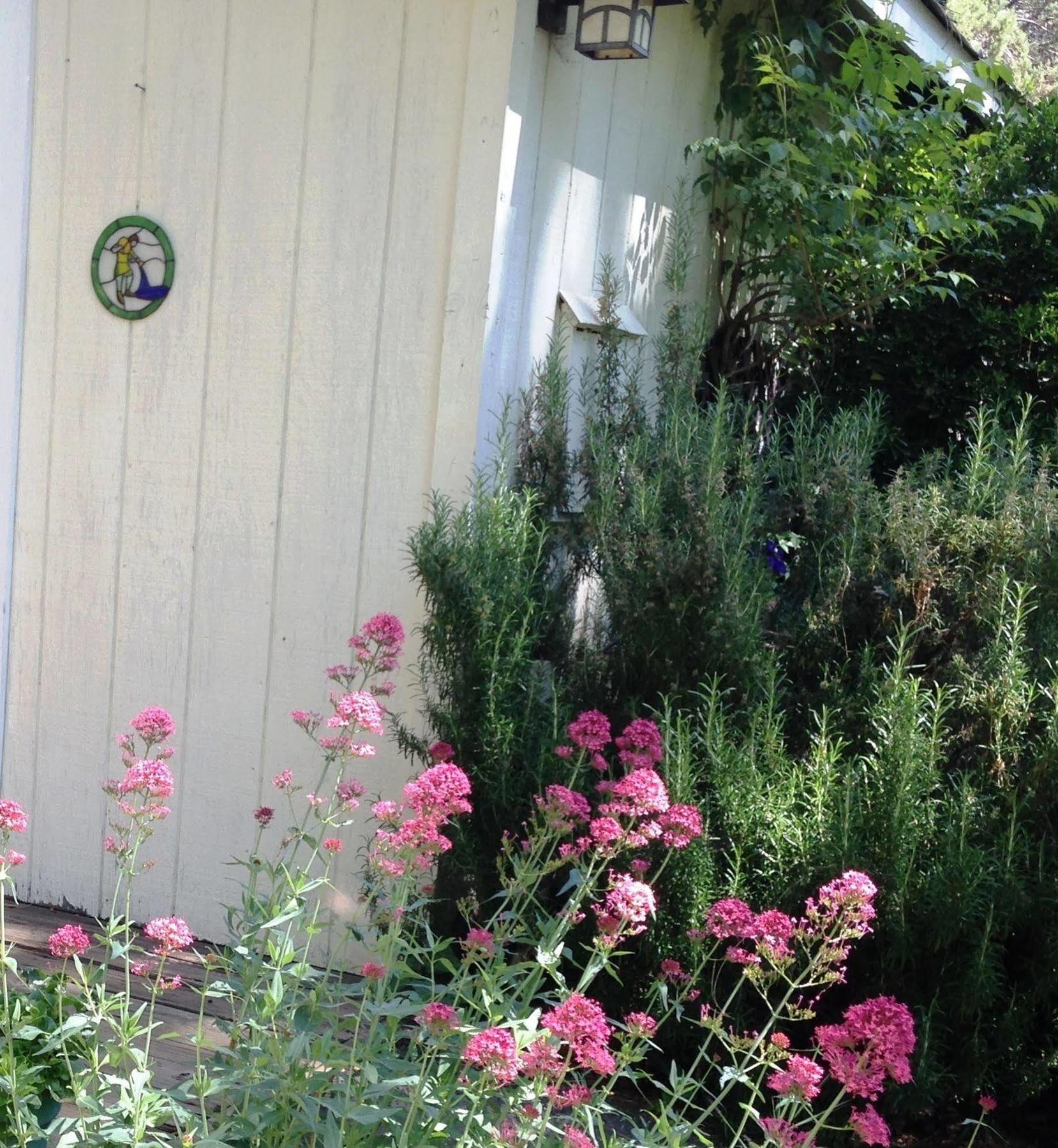 Backyard Garden Oasis Bed and Breakfast Middletown Eksteriør billede
